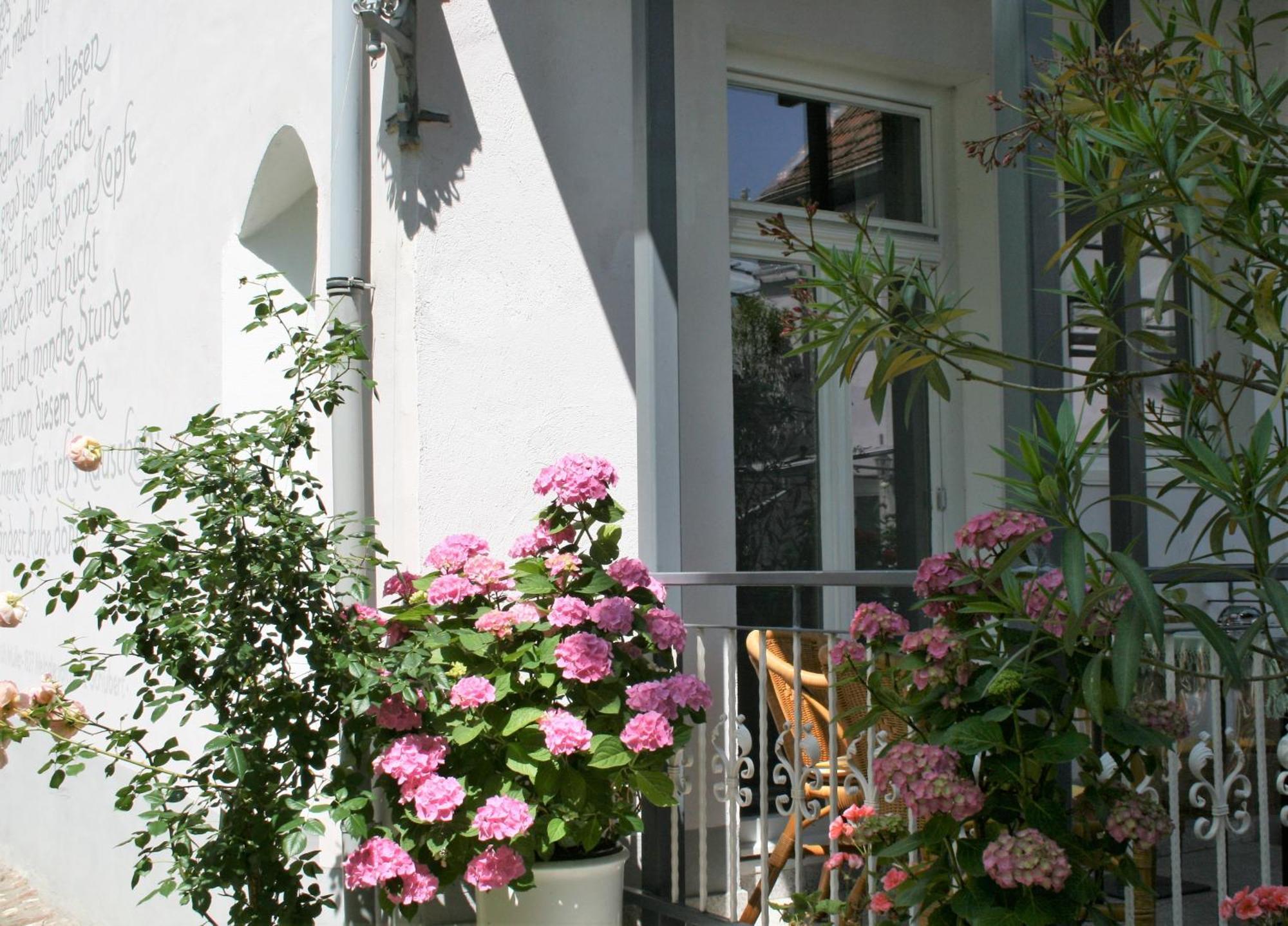 Herrenhof 보름스 외부 사진