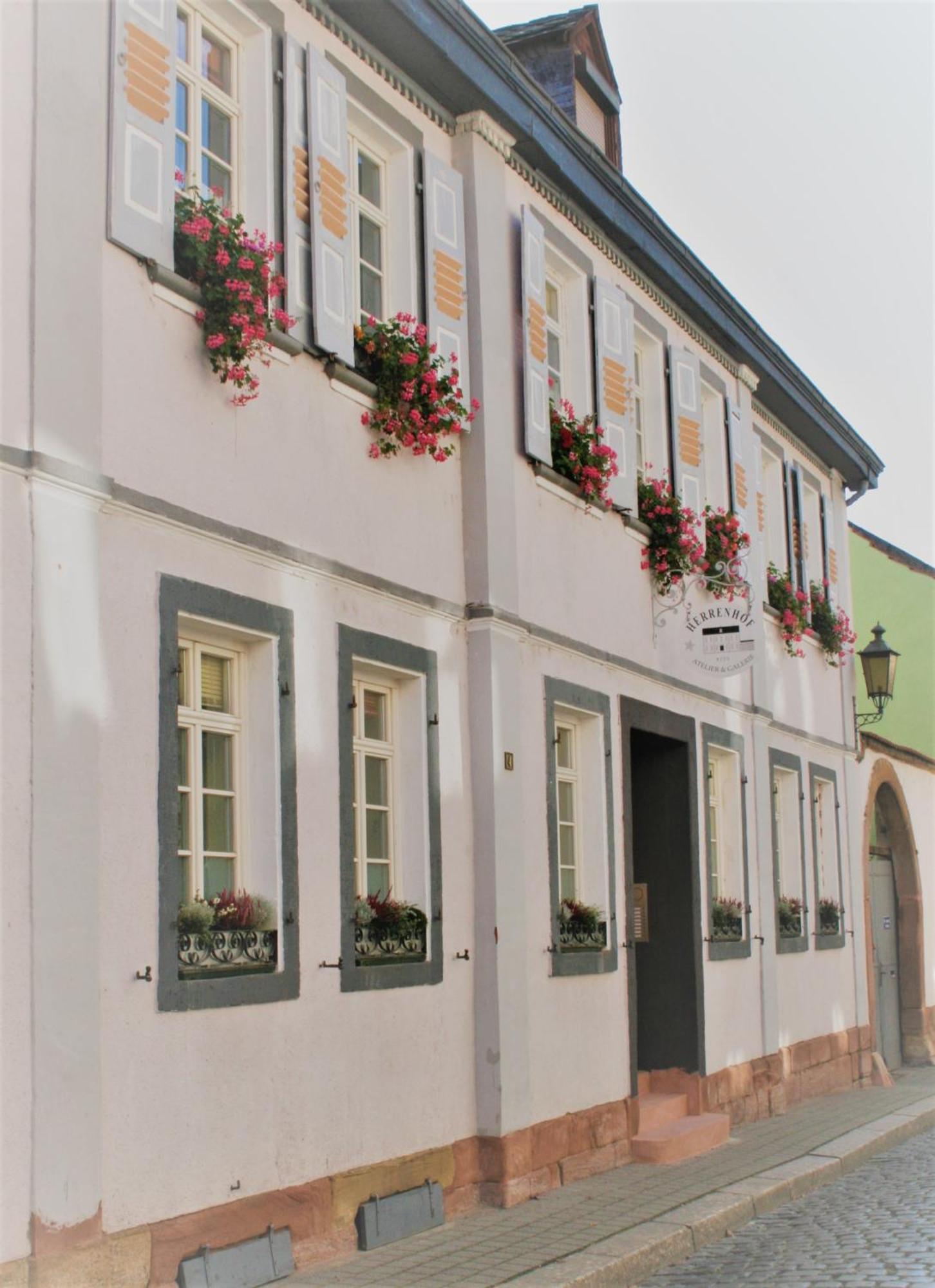 Herrenhof 보름스 외부 사진