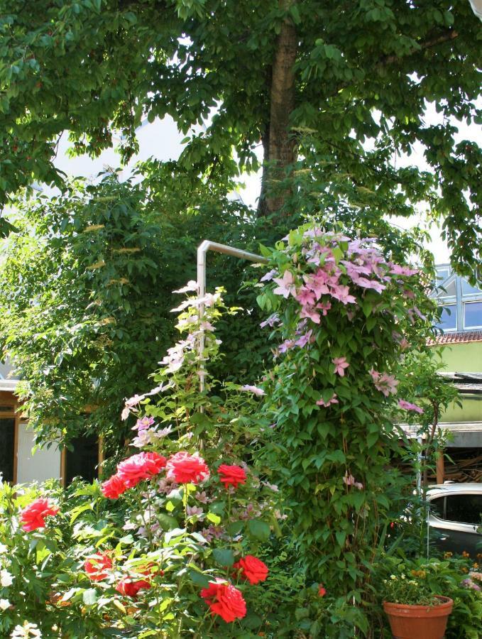 Herrenhof 보름스 외부 사진